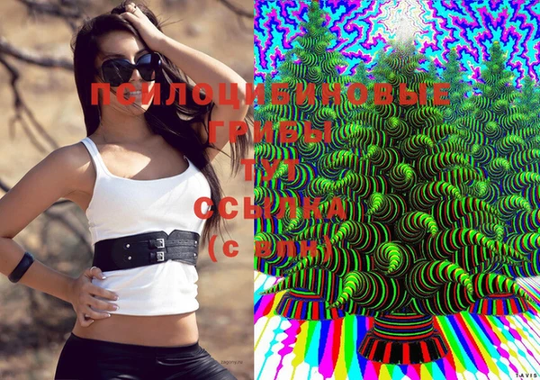 не бодяженный Богданович