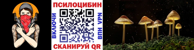 Галлюциногенные грибы ЛСД  Купить  Гаврилов Посад 
