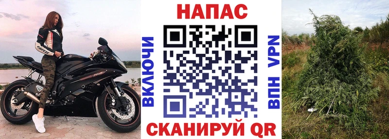 Купить  Гаврилов Посад  МАРИХУАНА MAZAR 